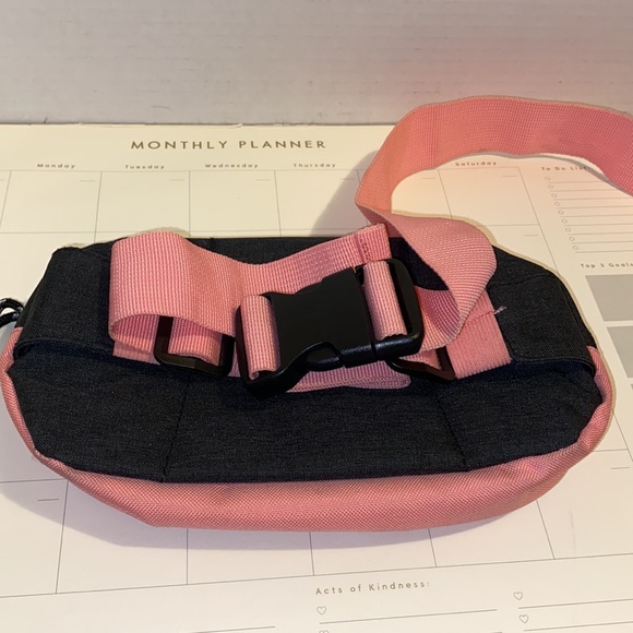 Champ - Picture 2 of 4